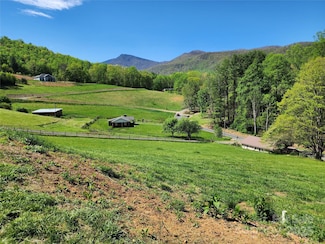 583 Cane Branch Rd, Burnsville, NC 28714