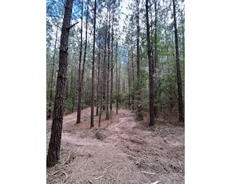 0 Jupiter Rd, Mendenhall, MS 39114