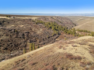37607 Webb Ridge Rd, Lapwai, ID 83540