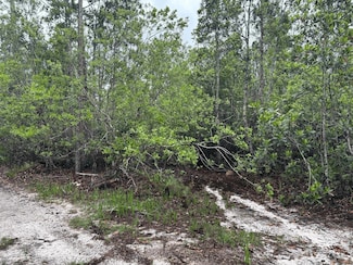 0 Holopaw Groves Rd Unit F10536895, Saint Cloud, FL 34772