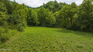 174 Acres War Creek Rd, Eidson, TN 37731