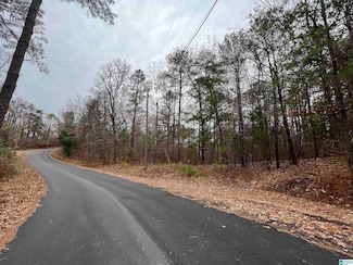 0 Mountainview Ln Unit 35 21404123, McCalla, AL 35111