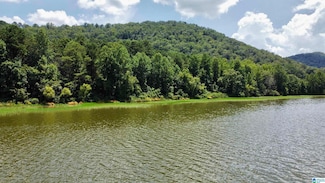 148 acres County Road 21 Unit 2 parcels, Ashville, AL 35953