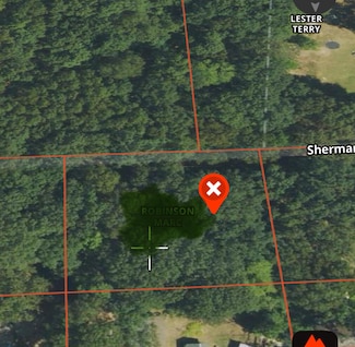 VL Sherman Rd, Sheridan Township, MI 49410