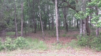 0 Dupree Creek Ln Unit 15012846, Awendaw, SC 29429