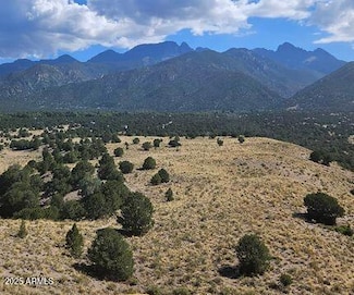 Lot 6 W Rancho Rd Unit 6, Walnut Creek, AZ 86413