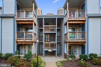 6919 Victoria Dr Unit D, Alexandria, VA 22310