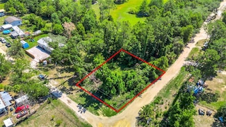 40850 Pine Tree Ln, Pine Lakes, FL 32736