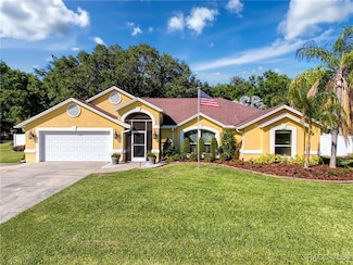 3920 Meadowlark Ct, Land O Lakes, FL 34639