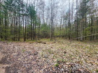 0 Orwin St, Mullett Township, MI 49749