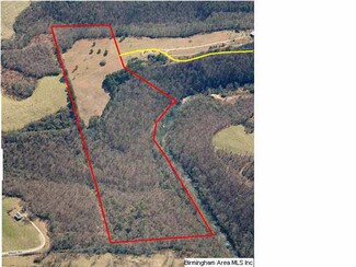 0 Highway 55 Unit 42 AC 555768, Blountsville, AL 35031