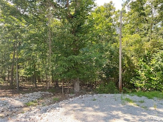 5101 W Loop Dr, St. Marys Township, MO 63775