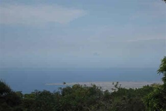 77-6217 Mamalahoa Hwy, Holualoa, HI 96725