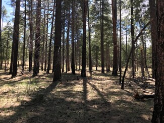 14 Cr 2190, Alpine, AZ 85920