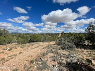 54413 Thunderbird Ln, Seligman, AZ 86337