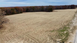 Tract 4 Polston Ln, Hickory Grove Township, MO 63357