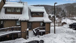 71 The Woods, Ellicottville, NY 14731