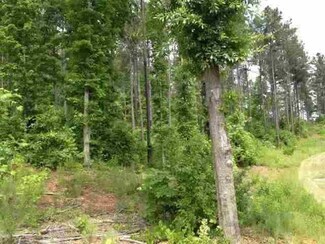 4 Point North Dr Unit Natures View Drive, Salem, SC 29676