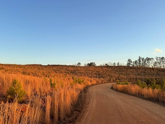 01 Hob Ward Rd, Winfield, AL 35594