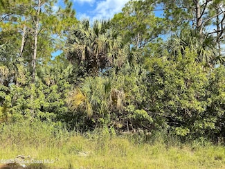 Tbd Lot 9 Frederick St SW, Palm Bay, FL 32908