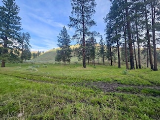 0 Xy Salmon Creek Rd, Okanogan, WA 98840