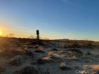 0 Beaver Unit HD25239056, Adelanto, CA 92301