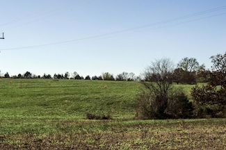 Tract 9 E 425th Rd, Fair Play, MO 65649
