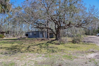 11 5th Ave N, Steinhatchee, FL 32359