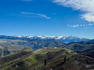 Lot 127 Buck Blvd, White Bird, ID 83554