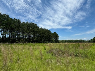 3 Confederate Hwy Parcel D, Fairfax, SC 29827