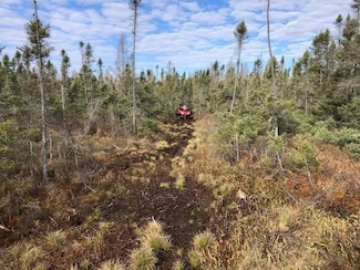 0 Swamp Rd, Merrill, WI 54452