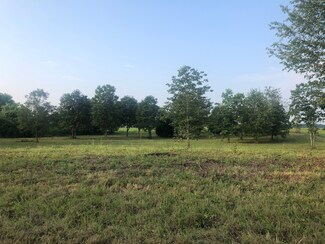 0 Paris Bailey Ln, Loretto, TN 38469