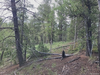 2455 Yorktown Rd, Cripple Creek, CO 80813