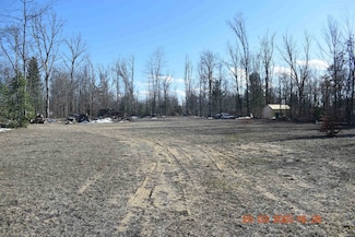 2270 Fir Rd, Hayes Township, MI 48625