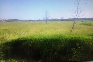 0 La Vergne Rd, Alcona Township, MI 48721