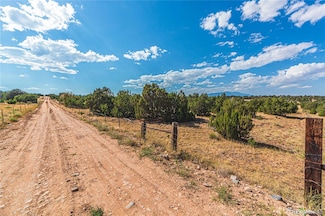 0 Tbd Twin Lake Ranches Lot 140 Unit REC7832642, Walsenburg, CO 81089