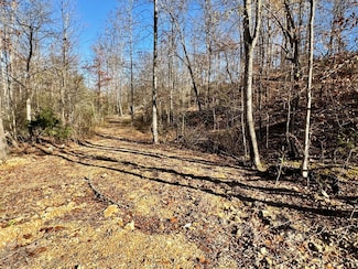 0 Taylor Cir Unit RTC2764390, Tennessee Ridge, TN 37178