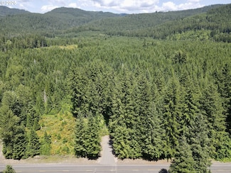 10842 Wind River Hwy, Carson, WA 98610