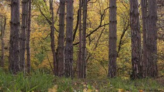 2 Smith Rd, Ohio, NY 13324