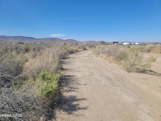 3670 Highway 95a, Fernley, NV 89408