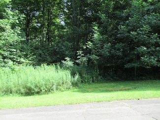 Tract 4 Deep Woods Dr, Lagrange Township, MI 49031