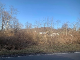 TBA Hazelton Rd, Bruceton Mills, WV 26525