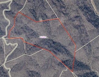 0 Goff Hill Rd Unit 181051, Glenwood, WV 25520
