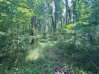 0 Country Club Rd, South Fulton, TN 38257