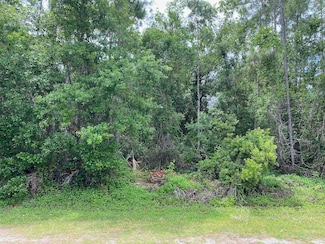 Lot 5 Blk 274 Allamanda Dr, Indian Lake Estates, FL 33843