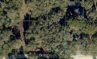 TBD SW 103rd St, Dunnellon, FL 34432