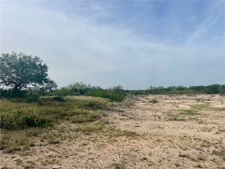 000 County Road 335, San Diego, TX 78384