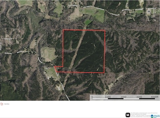 9015 Brasher Rd Unit 1, Warrior, AL 35180