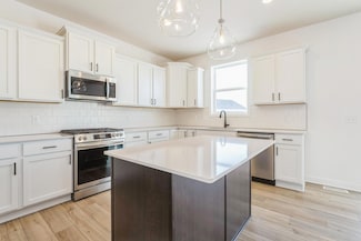 8362 Lander Ave NE, Otsego, MN 55330