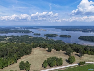 12 acres Guffey Rd, Scottsboro, AL 35769